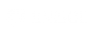 Logo e scritta Unisol bianco Tavola disegno 1 300x112 1 Unisol